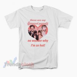 Haylor My Divorced Parents Harry Styles And Taylor Swift T-Shirt